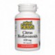 NATURAL FACTORS CITRUS BIOFLAVONOIDS PLUS HESPERIDIN 90 CP