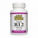 NATURAL FACTORS B12 CYANOCOBALAMIN 250MCG 90 TB