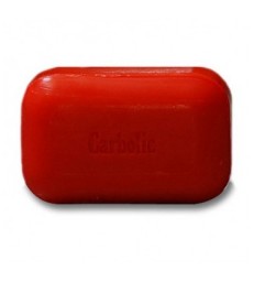 THE SOAP WORKS BAR SOAP CARBOLIC 1 EA
