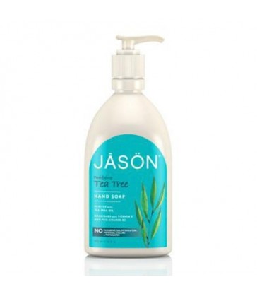 JASON LIQUID HAND SOAP TEA TREE 473 ML
