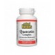 NATURAL FACTORS QUERCETIN COMPLEX 90 VC