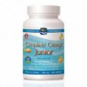 NORDIC NATURALS COMPLETE OMEGA JUNIOR LEMON 90 SG