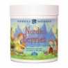 NORDIC NATURALS NORDIC BERRIES MULTIVITAMIN 120 CH