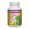 NATURAL FACTORS BIG FRIENDS CHEWABLE VITAMIN C 250MG 90 CH